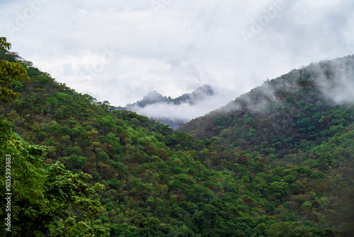 Serene Fog Blanketing Verdant Valleys and Peaks