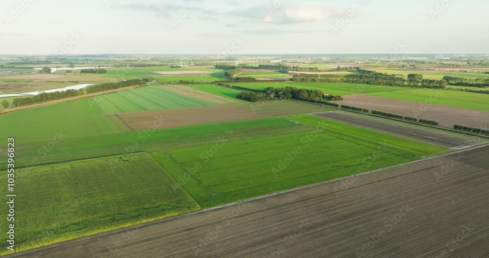 Aerial view of cropland in the countryside during evening light, Tholen, Netherlands. Aerial view of cropland in the countryside during evening light, Tholen, Netherlands.