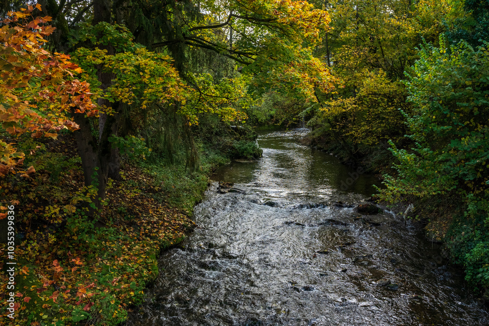 Herbst am Fluß Herbst am Fluß