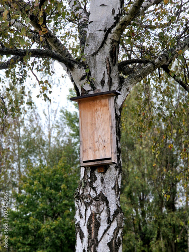 Bats and their pups can overheat and die in poorly designed or placed bat boxes, and in a warming climate, it could happen more often photo