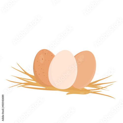 Fresh chichen egg in straw isolated on white background
