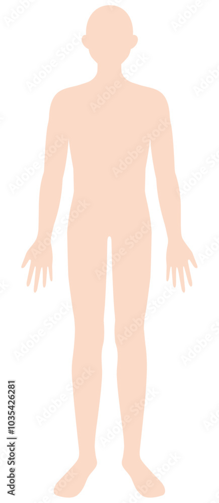 男性の体 シルエット 男性の体 シルエット