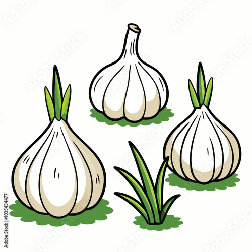 Garlic Illustration Flat Design Style white background