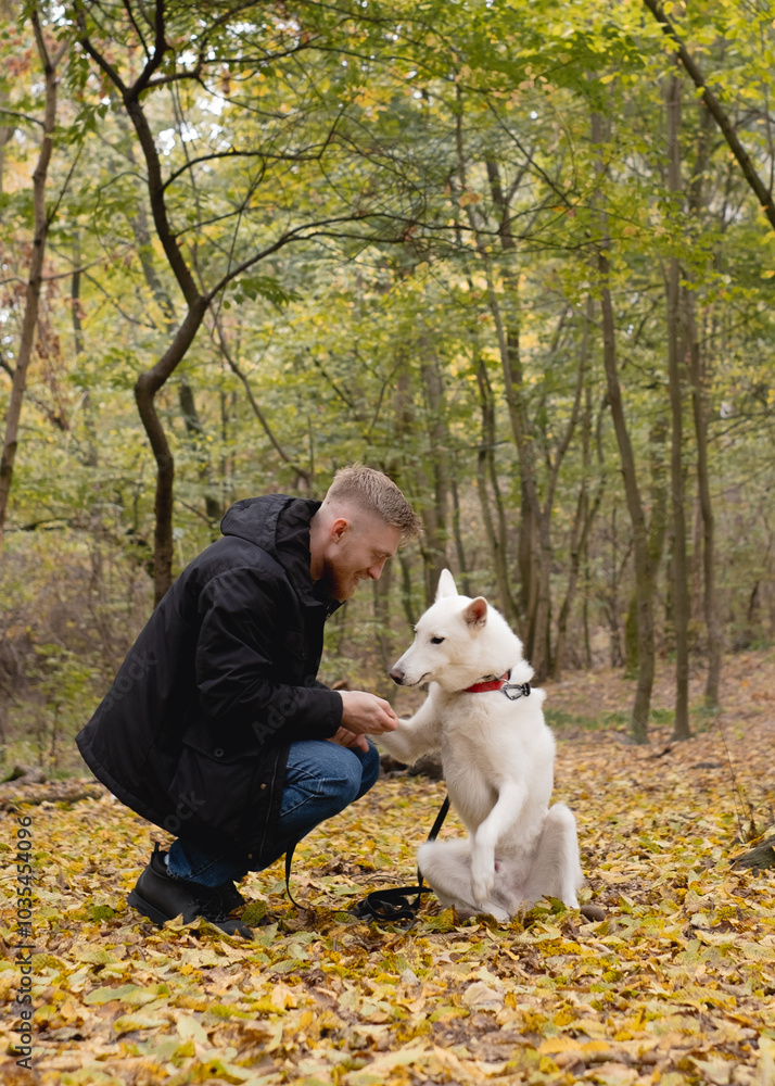 Dog gives paw to owner while sitting. Owner and dog interact with paw gesture. Dog gives paw to owner while sitting. Owner and dog interact with paw gesture.