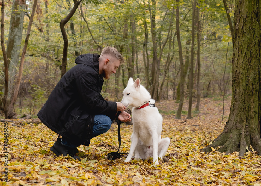 Man rewarding his dog with a treat in fall woods. Man rewarding his dog with a treat in fall woods.
