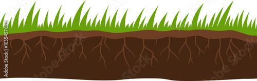 A close up of a grassy area with roots visible