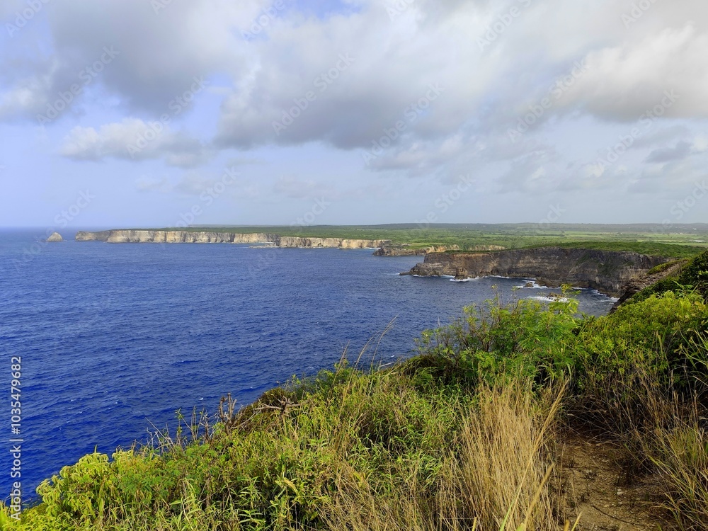 landscape of north coast of Grande Terre in Guadeloupe, pointe de la Grande Vigie in Anse Bertrand with copy space. Nature panorama landscape of north coast of Grande Terre in Guadeloupe, pointe de la Grande Vigie in Anse Bertrand with copy space. Nature panorama