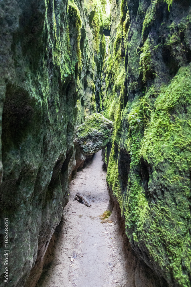 Narrow ravines called Canoles on the Larzac plateau. Aveyron. Occitanie. France. Narrow ravines called Canoles on the Larzac plateau. Aveyron. Occitanie. France.