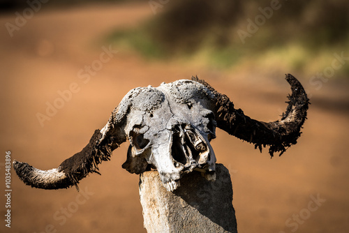 es war einmal ein wildes Tier