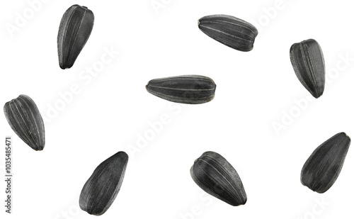 Flying sunflower seeds isolated on a transparent background. Completely in focus. Top view.