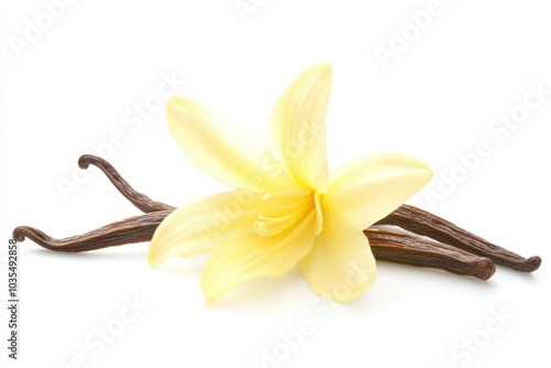 Delicate Yellow Flower with Vanilla Pods