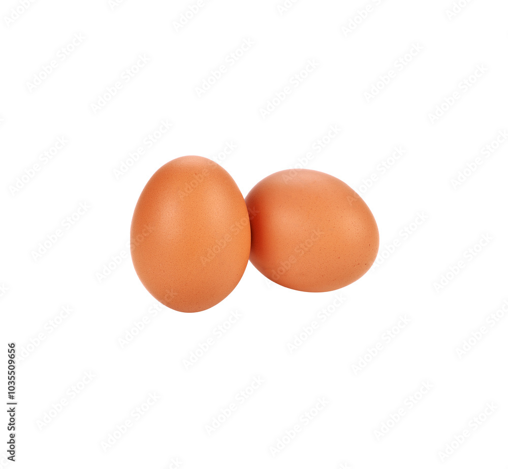 chicken egg transparent png chicken egg transparent png