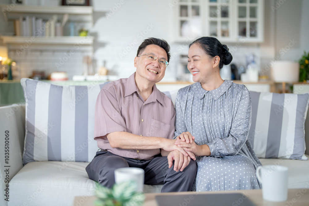 A cheerful elderly couple sitting together on a cozy sofa, holding hands and smiling warmly. They enjoy their peaceful moments together, embodying love, companionship, and happiness in their home. A cheerful elderly couple sitting together on a cozy sofa, holding hands and smiling warmly. They enjoy their peaceful moments together, embodying love, companionship, and happiness in their home.