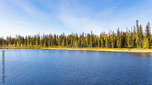 View of tranquil lake surrounded by serene forest under a blue sky, Luosto, Finland. photo