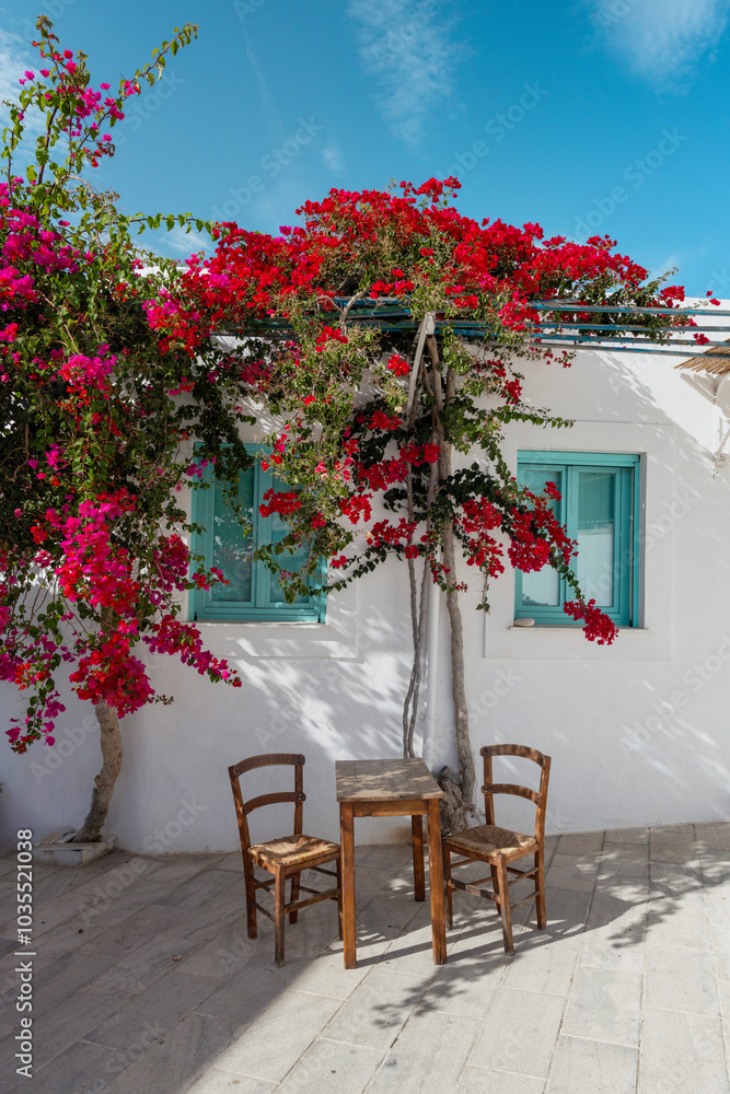 Obraz premium A cozy outdoor seating arrangement features two rustic wooden chairs and a small table. Lush bougainvillea flowers in bright pink envelop the area, adding color to the tranquil setting.