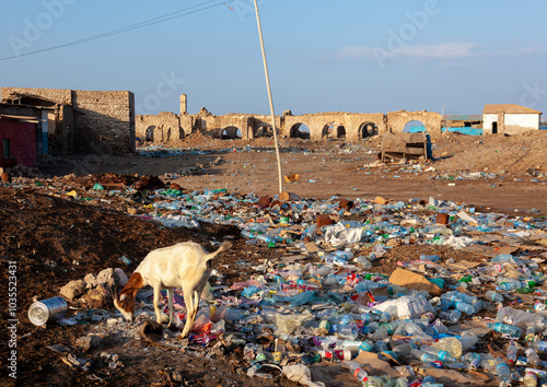 Ruins of the old town after the somalian civil war, Awdal region, Zeila, Somaliland photo