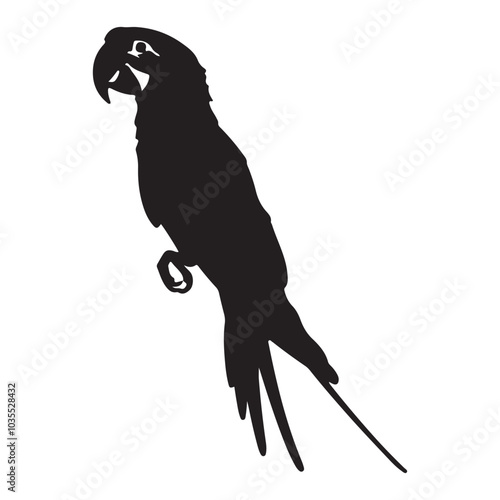 Parrot silhouette isolated - vector illustration