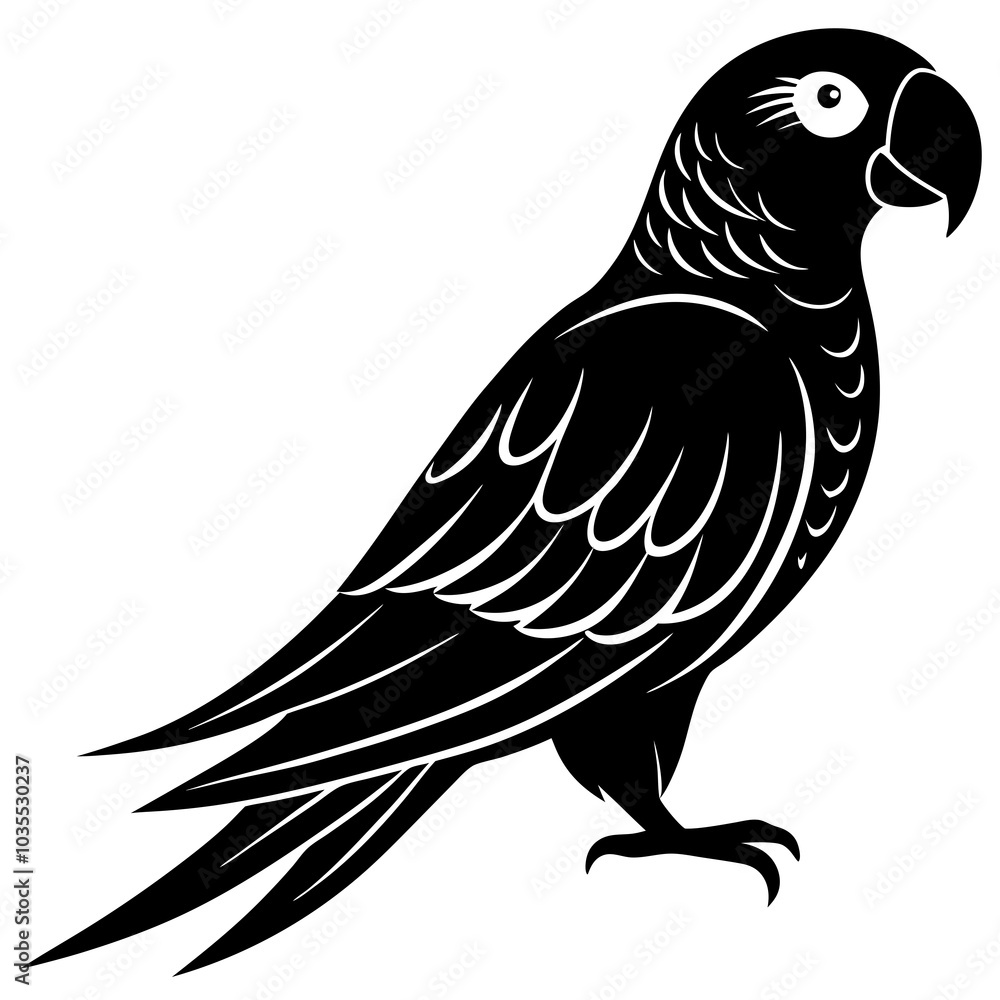 Obraz premium black and white bird