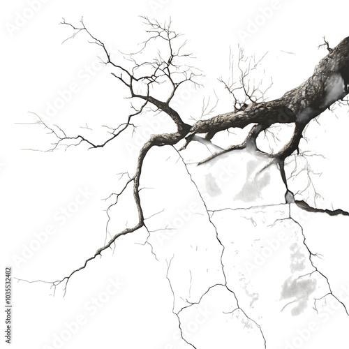 Abstract Branches of a Tree Against a Dark Background Isolated on Transparent Background
