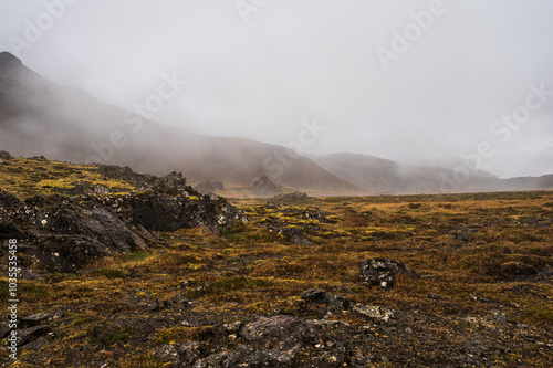 nature sceneries taken from Fauskasandur beach along the route 1 between hofn and Egilsstadir, Iceland photo