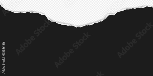 Black piece of paper with torn edges and soft shadow are on transparent background for text or ad.