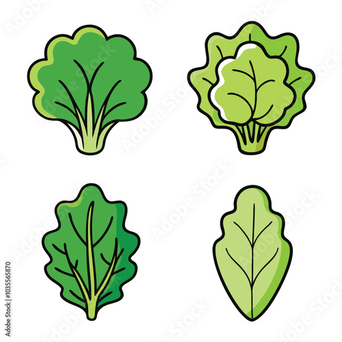 Lettuce leaf in flat style. Vector illustration isolated on white background.