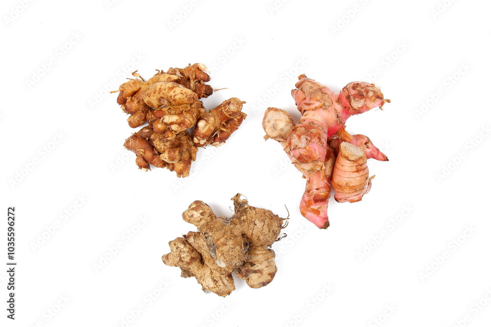 top view of aromatic ginger or sand ginger and Fresh galangal isolated on white background. spices or herb for cooking or traditional medicine top view of aromatic ginger or sand ginger and Fresh galangal isolated on white background. spices or herb for cooking or traditional medicine