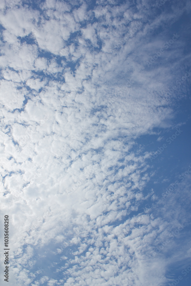 The sky is full of clouds
The sky is full of clouds