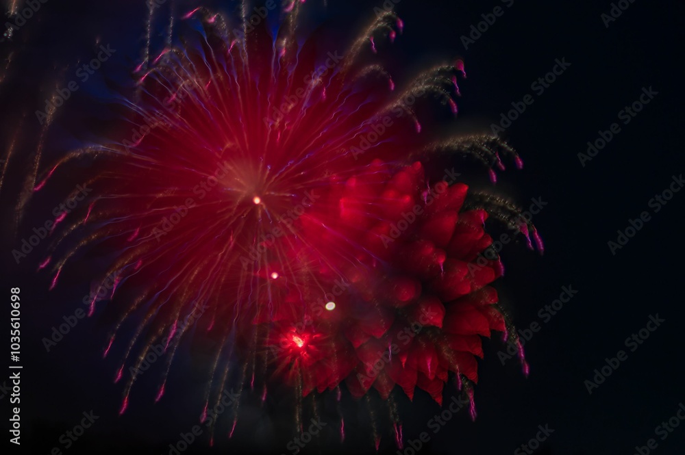 Vibrant display of red fireworks against a dark night sky. Vibrant display of red fireworks against a dark night sky.