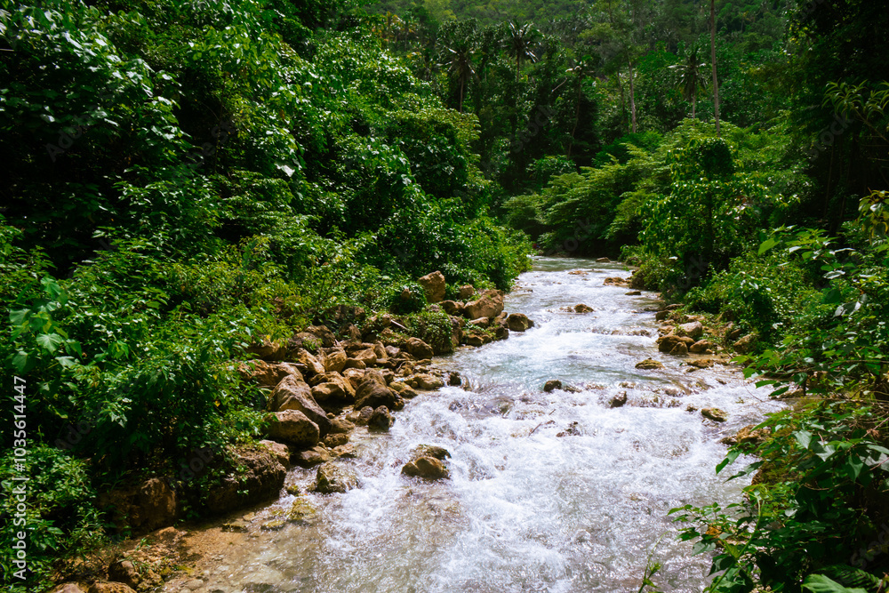 Cebu, Philippines. August 23, 2024. Turquoise waters rushing from the Kawasan Falls. Cebu, Philippines. August 23, 2024. Turquoise waters rushing from the Kawasan Falls.