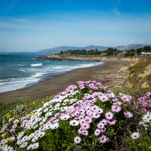 Coastal scene in spring