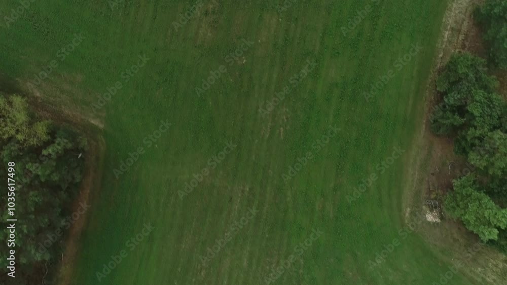 drone flight over field 4K drone flight over field 4K