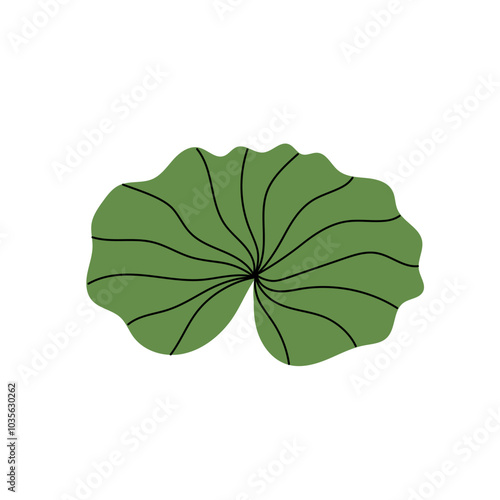 River plant, pond, lake, swamp. Green lotus or water lily leaf. Flat illustration on a white background.