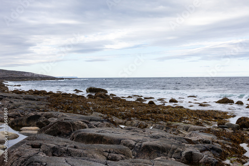 Barents sea coastline photo