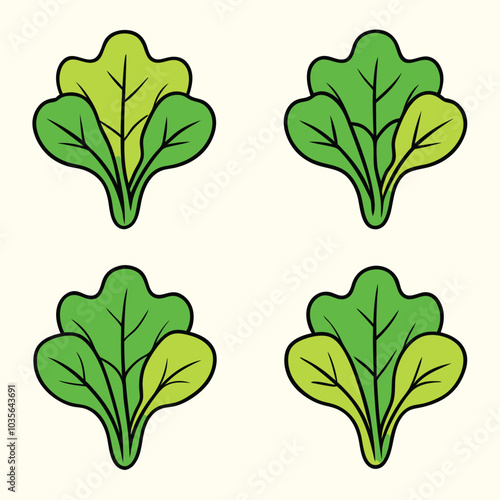 Mustard green vegetable vector illustration, cartoon vegetables flat icon design