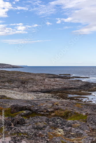 Barents sea coast