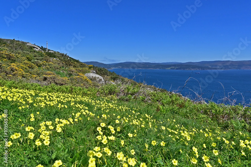 Capo di Finisterre e fine del Cammino di Santiago di Compostela, provincia di coruña, galizia, spagna,  photo