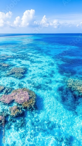 A vibrant underwater scene showcasing colorful coral reefs set against a stunning blue ocean backdrop, with a bright sky above.