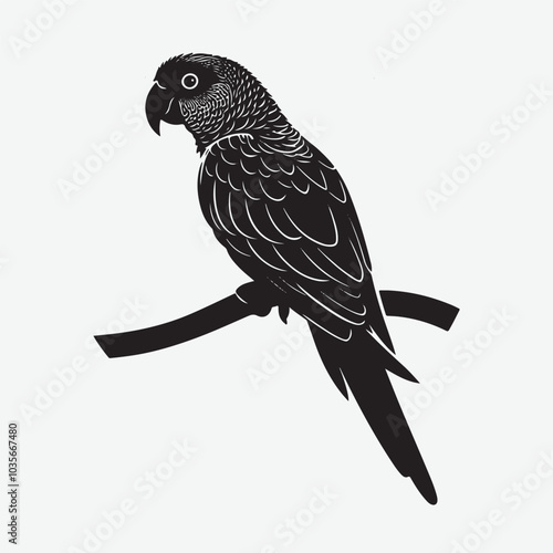Pionus Parrot