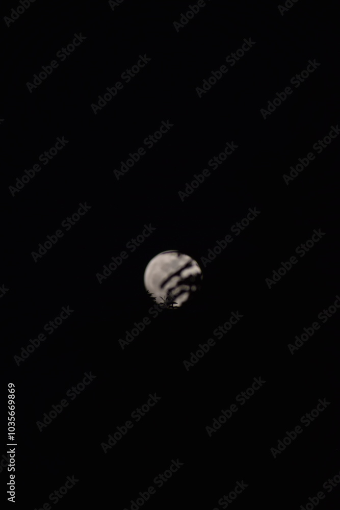 Naklejka premium selective focus picture of moon in the forest