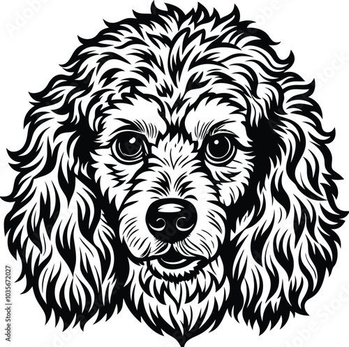 hand-drawn line art illustration of a Toy Poodle in a side view
