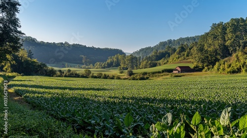 A small red barn sits in a field surrounded by lush green hills and a bright blue sky.