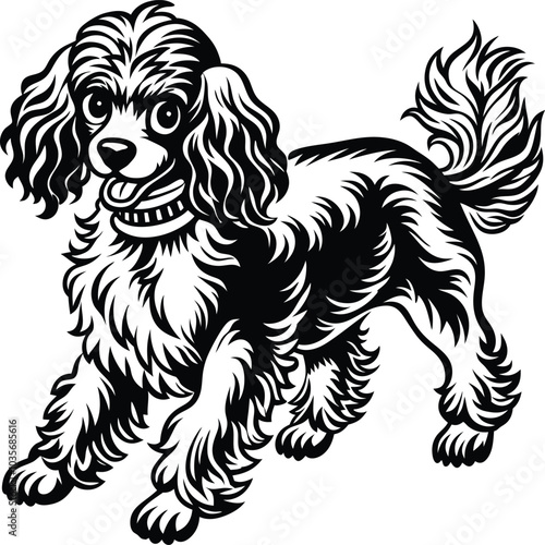 poodle dog in different poses, clipart, and vector silhouette designs.