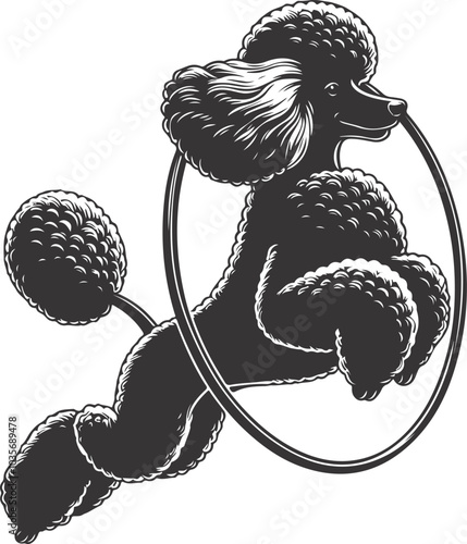 poodle dog in different poses, clipart, and vector silhouette designs.