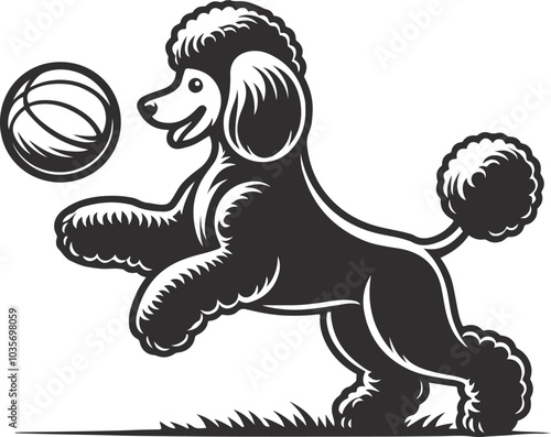 basketball ball poodle