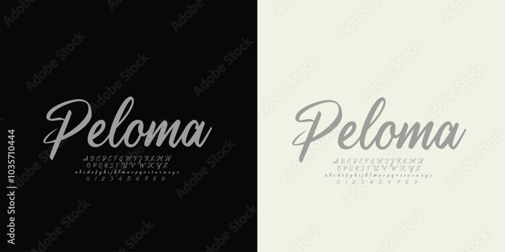 Vector elegant alphabet letters font classic modern serif lettering minimal fashion Vector elegant alphabet letters font classic modern serif lettering minimal fashion