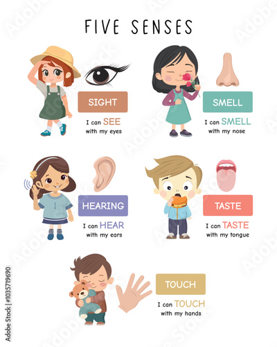 Five Senses Educational Poster with Cartoon Illustrations