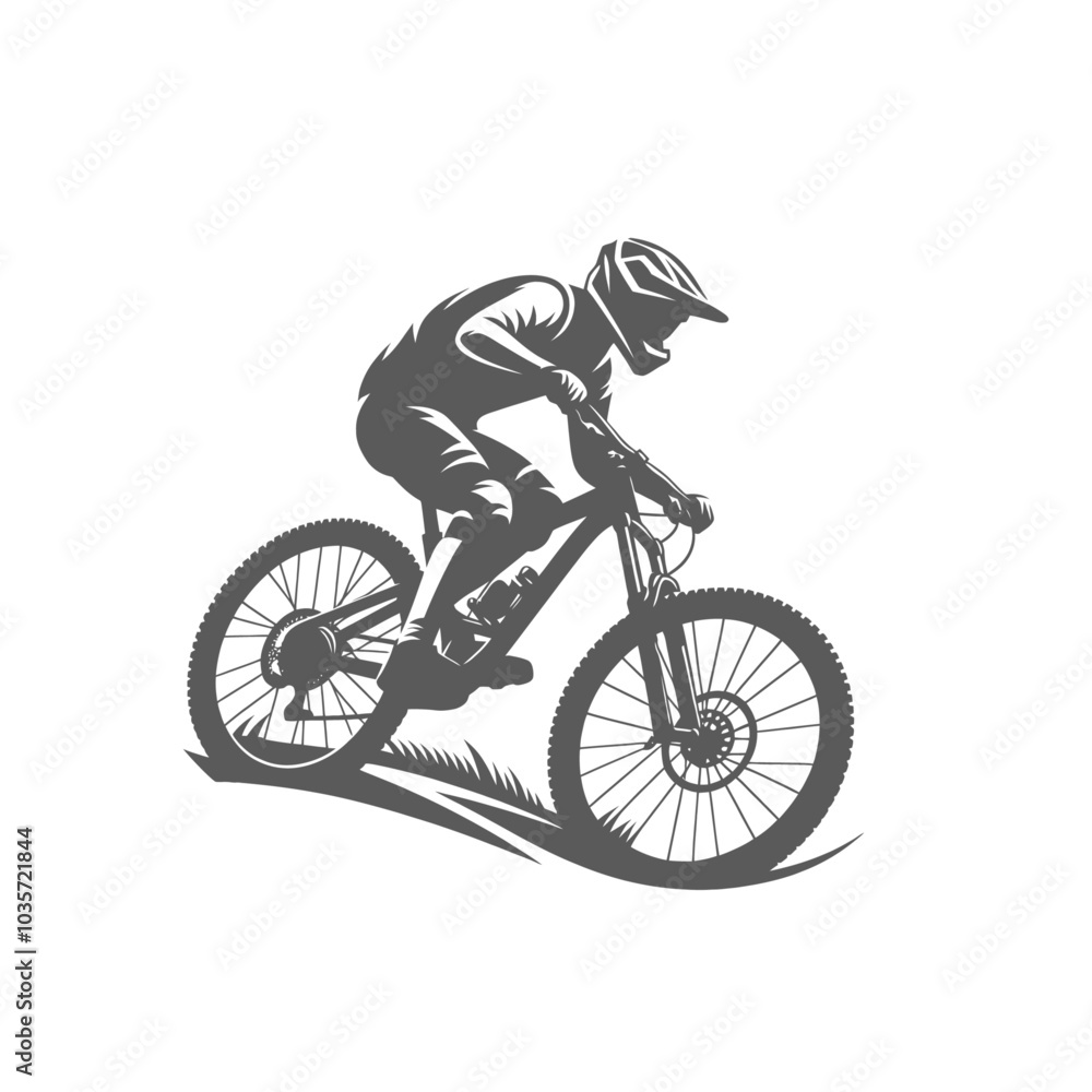Fototapeta premium Mountain bike rider isolated vector illustration