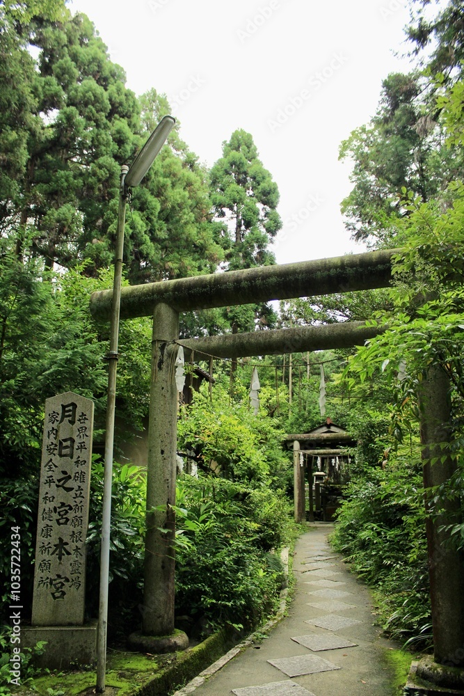 Kyoto, Japan - July 25 2017: Serene Shinto Shrine Pathway Amidst Lush Forest, with Ancient Torii Gates Leading to a Hidden Sanctuary Kyoto, Japan - July 25 2017: Serene Shinto Shrine Pathway Amidst Lush Forest, with Ancient Torii Gates Leading to a Hidden Sanctuary