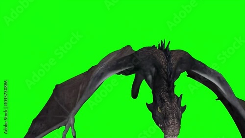 dragon green screen, dragon chroma key